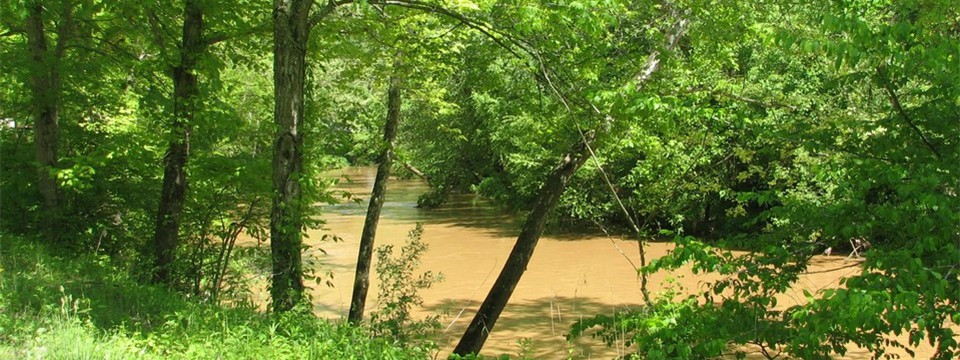 Mud River Mud River
